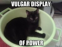 VULGAR DISPLAY OF POWER