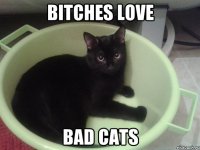 BITCHES LOVE BAD CATS