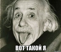  Вот такой я