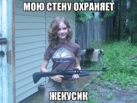 МОЮ СТЕНУ ОХРАНЯЕТ ЖЕКУСИК