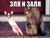 Эля и Заля 