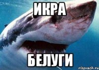 Икра Белуги