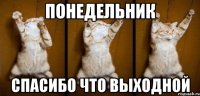 Понедельник Спасибо что выходной