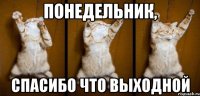 Понедельник, Спасибо что выходной