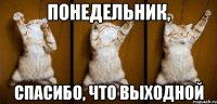 Понедельник, Спасибо, что выходной