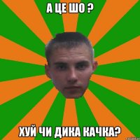 А це шо ? Хуй чи дика качка?