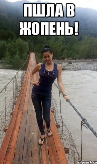 ПШЛА В ЖОПЕНЬ! 