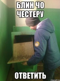 блин чо честеру ответить