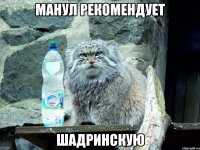 манул рекомендует Шадринскую