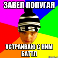 завел попугая устраиваю с ним баттл