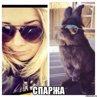  СПАРЖА