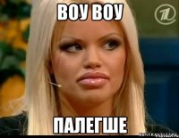 Воу воу палегше