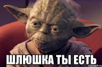  Шлюшка ты есть