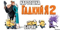 картошка буряк