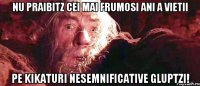 nu praibitz cei mai frumosi ani a vietii pe kikaturi nesemnificative gluptzi!