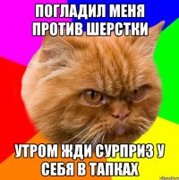Погладил меня против шерстки Утром жди сурприз у себя в тапках