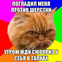 Погладил меня против шерстки Утром жди сюрприз у себя в тапках