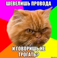шевелишь провода и говоришь не трогать?