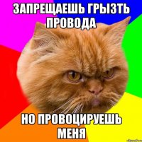 запрещаешь грызть провода но провоцируешь меня
