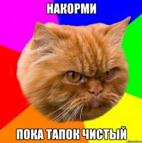 Накорми Пока тапок чистый