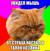 Увидел мышь от страха Насрал в тапок хозяина