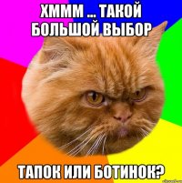 Хммм ... такой большой выбор Тапок или ботинок?
