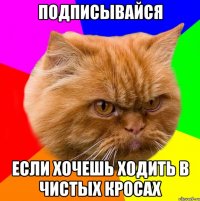 Подписывайся Если хочешь ходить в чистых кросах