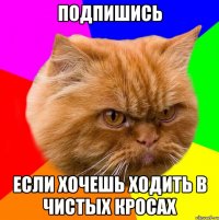 Подпишись Если хочешь ходить в чистых кросах
