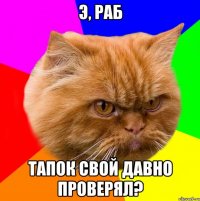 Э, раб Тапок свой давно проверял?