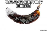 Честь то что между ног у женщины 