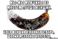 Мы-мы мужчины во многом лучше женщин. Удел женщин кухонная утварь, шопинг, салоны красоты.