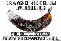 Мы-мужчины во многом лучше женщин Удел женщин-кухонная утварь,шопинг,салоны красоты.