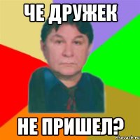 че дружек не пришел?