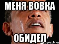 МЕНЯ ВОВКА ОБИДЕЛ