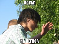 встал на пегаса
