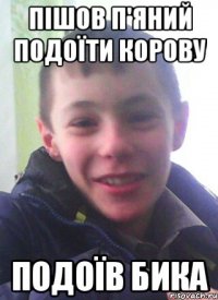 Пішов п'яний подоїти корову подоїв бика
