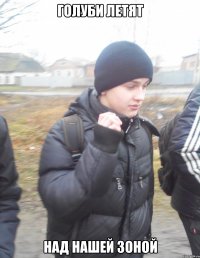 Голуби летят над нашей зоной
