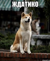 ЖДАТИКО 