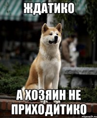 ЖДАТИКО А ХОЗЯИН НЕ ПРИХОДИТИКО