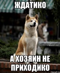 ЖДАТИКО А ХОЗЯИН НЕ ПРИХОДИКО