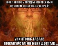 Я склоняюсь перед божественным оружием сударшана чакрой! Уничтожь табак! Пожалуйста! Он меня достал!