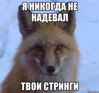 я никогда не надевал ТВОИ СТРИНГИ