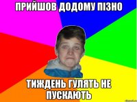 прийшов додому пізно тиждень гулять не пускають