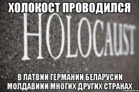 Холокост проводился в Латвии Германии Беларусии Молдавиии многих других странах