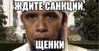 Ждите санкций, щенки