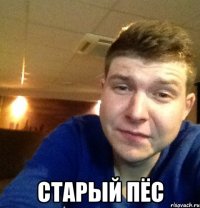  СТАРЫЙ ПЁС
