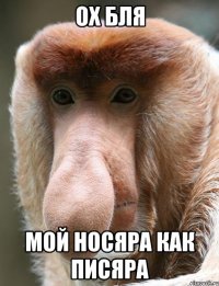 ох бля мой носяра как писяра