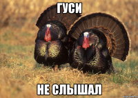 Гуси не слышал