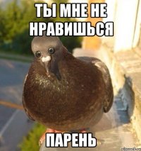 ты мне не нравишься парень