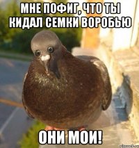 мне пофиг, что ты кидал семки воробью они мои!